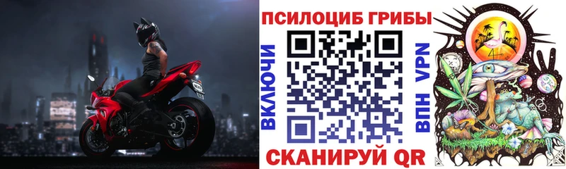 OMG маркетплейс как найти наркотики Урюпинск Галлюциногенные грибы Cubensis