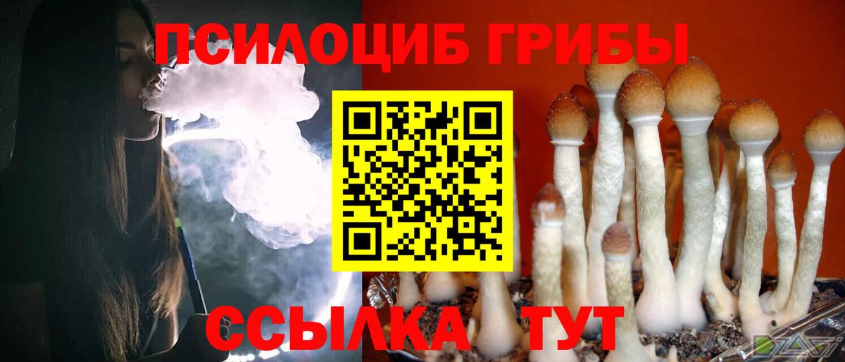 Урюпинск  Псилоцибиновые грибы MAGIC MUSHROOMS  Вход с VPN 
